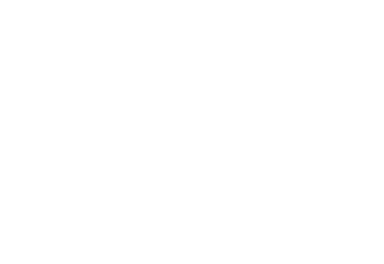 goodNes logo